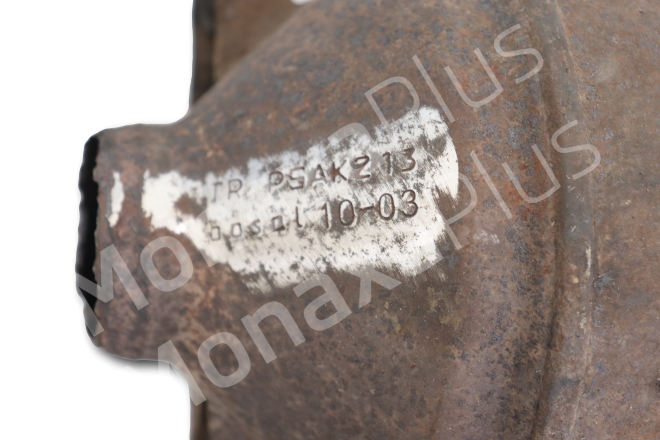 PSA-K213