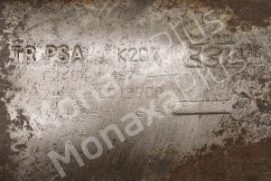 PSA-K207