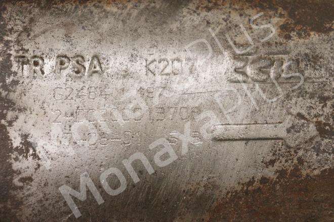 PSA-K207